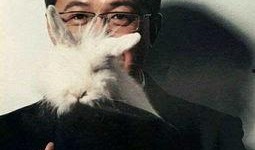 卓伟娱乐圈真实爆料,揭秘明星背后的真实故事