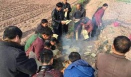 沸腾的村庄在线观看,揭秘乡村巨变背后的故事